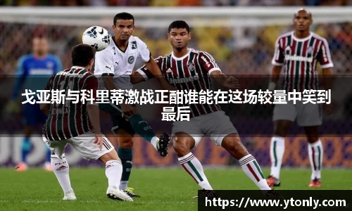 中欧体育官方网站
