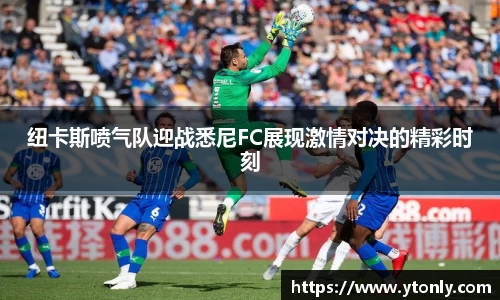 中欧体育