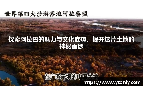 中欧体育