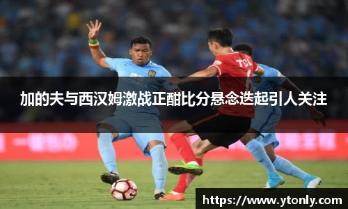 中欧体育官网